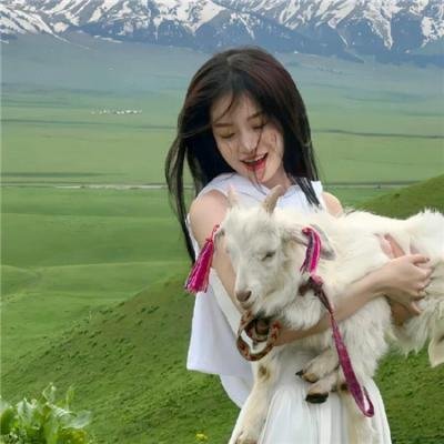 暴蜂尼亚